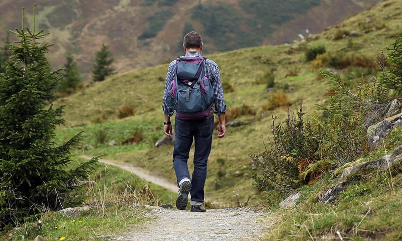 Backpacking Pack