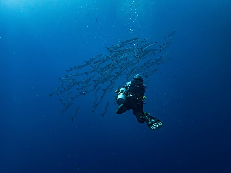 Snorkeling Vest
