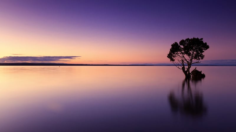 Safari sunset